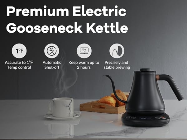 Electric Kettle Water Boiler