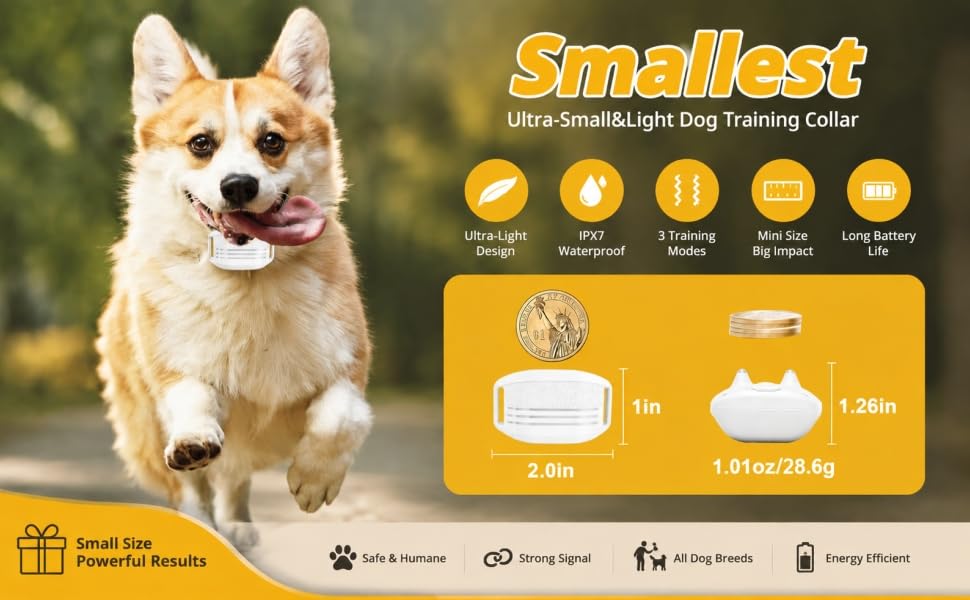 shock collar for small dogs-0