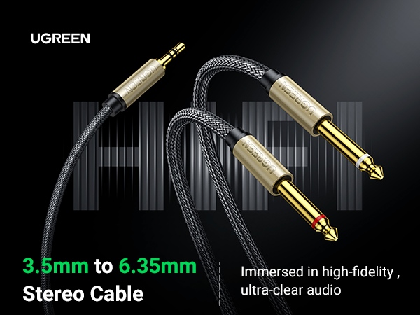 3.5mm 1/8 TRS to Dual 6.35mm 1/4 TS