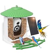 Cubetoou Smart Bird Feeder with Camera Solar Powered, Squirrel Proof Bird Feeders, Live View, AI ...