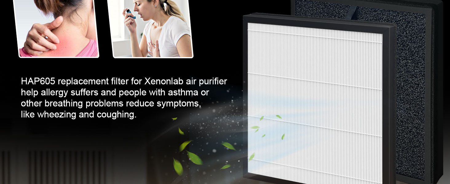 fre aire replacement filter