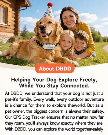 about dbdd