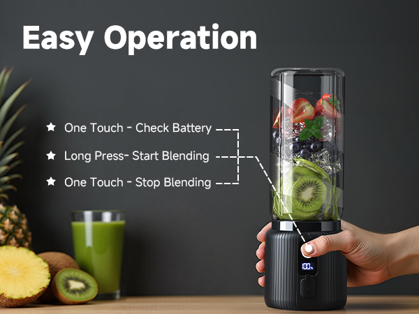 portable smoothie blender