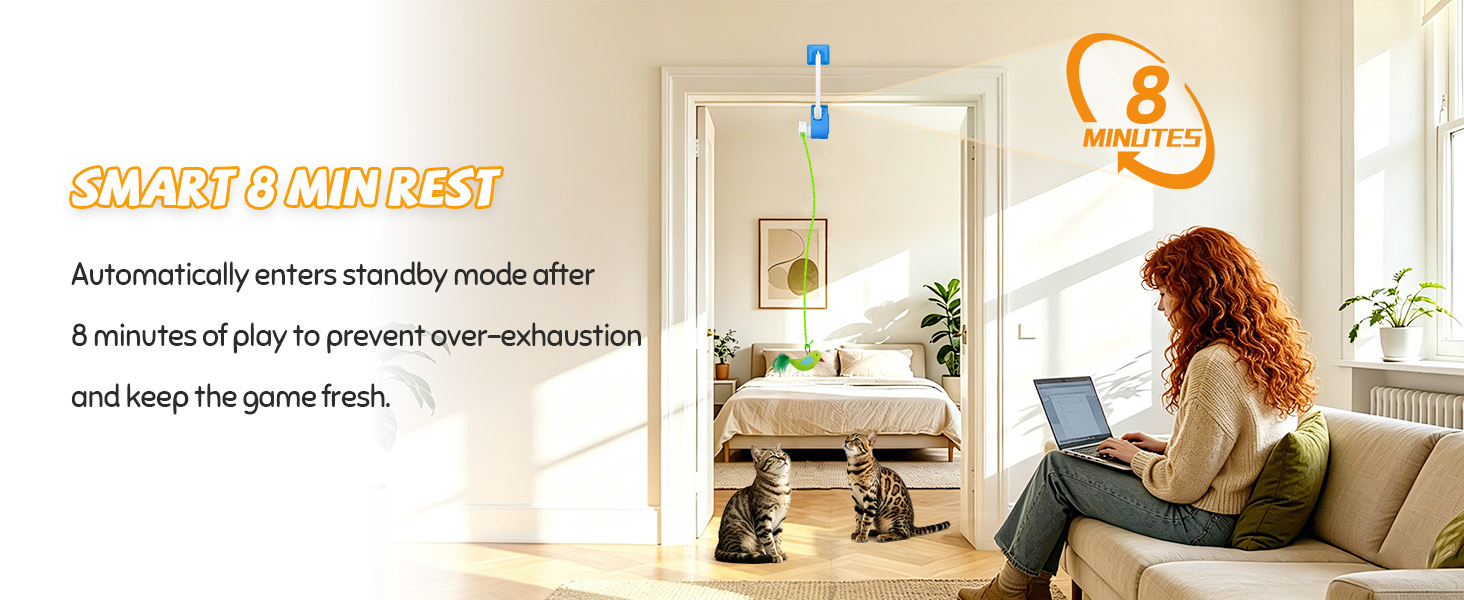 automatic cat toy