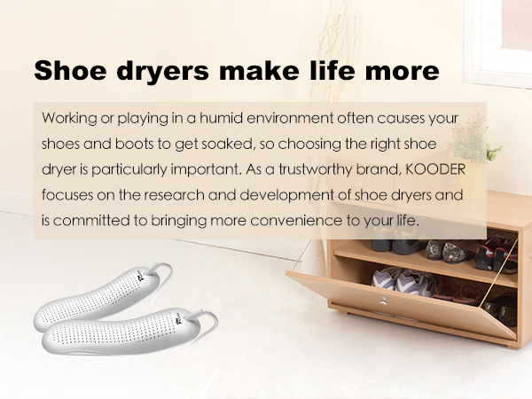 Shoe dryer