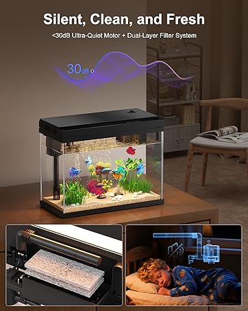 Fish Tank with Desktop Humidifier