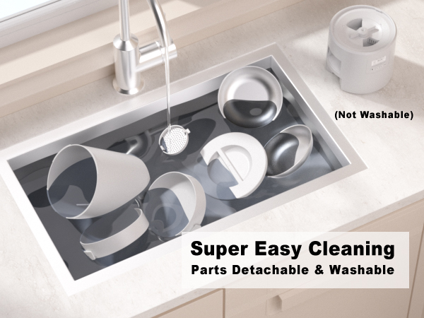 dual cats auto feeder