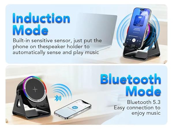 induction speaker
