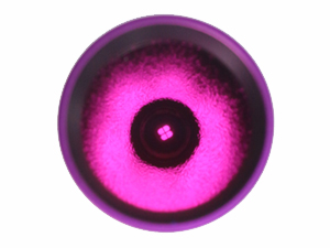 4 core uv flashlight