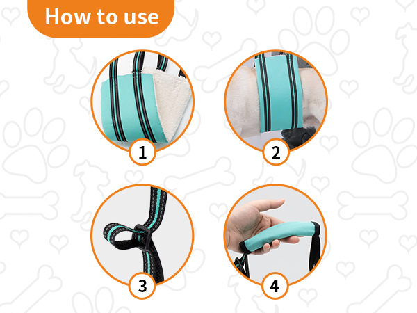AIITLE Heavy-Duty Dog Lift Harness - Adjustable Hind Leg Support Sling for Elderly/Disabled Dogs