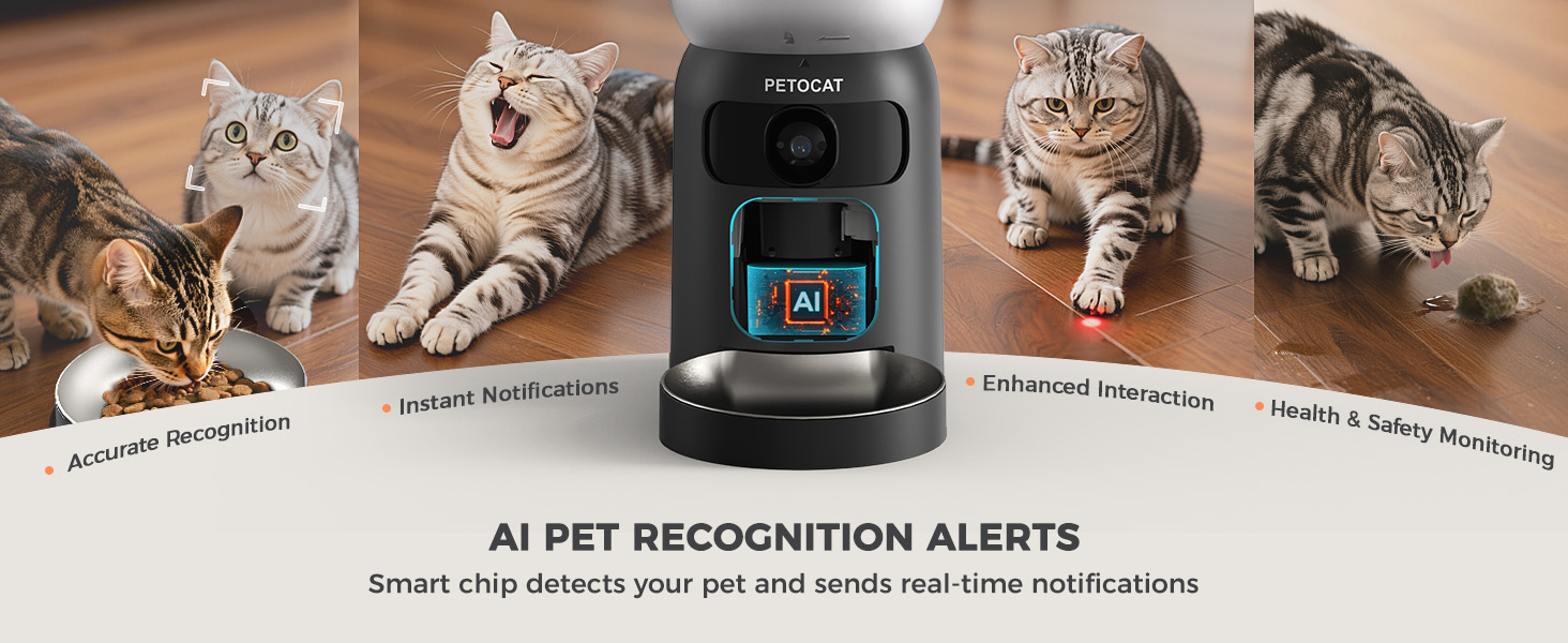 ai cat feeder