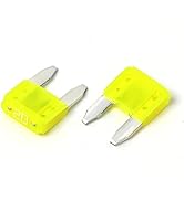 2Pcs 58V Car Automotive Blade Fuses, Universal Fuse Kit for Cars, Truck, SUV (20A)