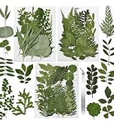 CONVELIFE 63 Pcs Dried Flowers for Resin, 21 Styles Pressed Leaves , Natural Dry Leaves for Press...