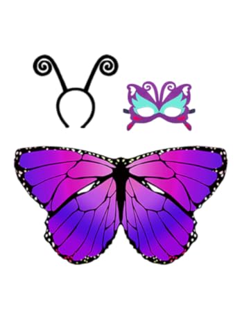 Fairy Wings toddlers girls kids Party supplies