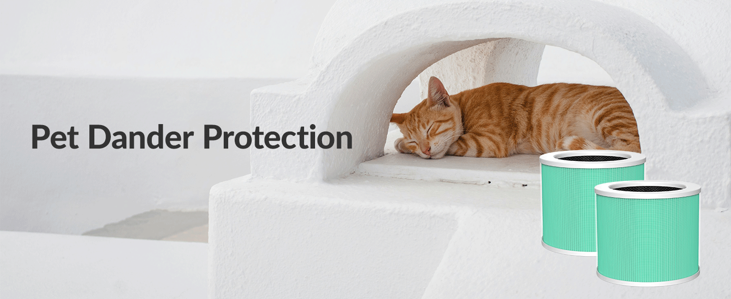 air purifiers for home