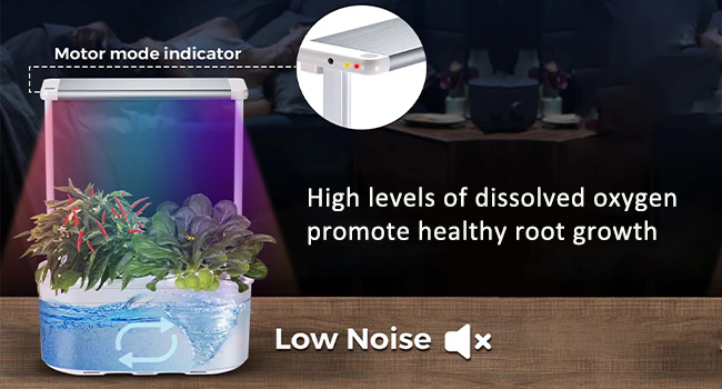 hydroponics