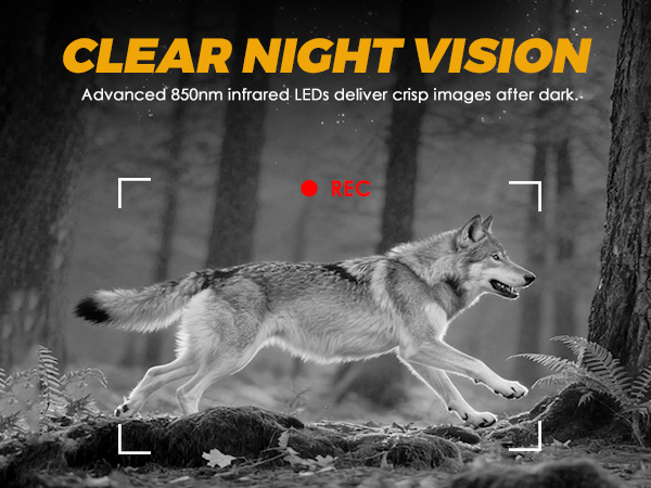 trail camera with night vision motion activated