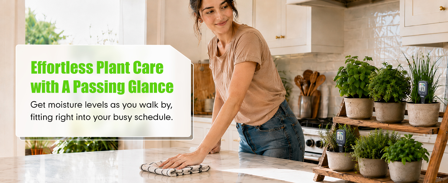 Convenient and Simple Moisture Checks as You Walk By Keeping Plant Care Easy Even on Busy Days