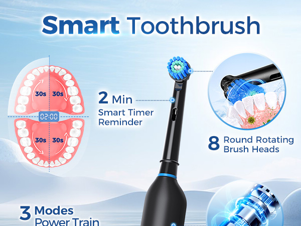 Electric Toothbrush