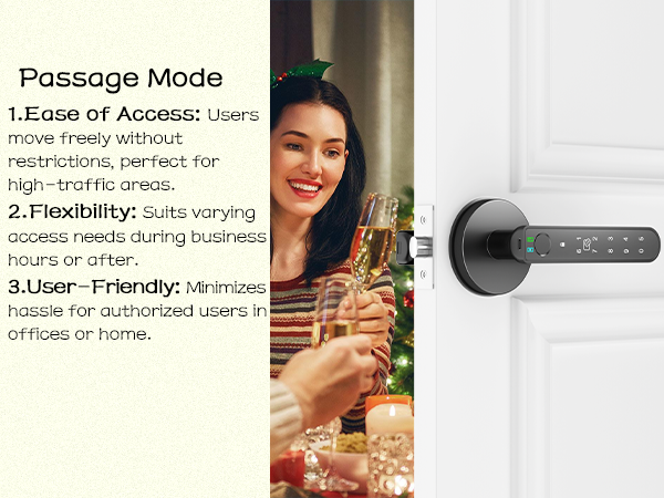 interior door handle with finger print lock 