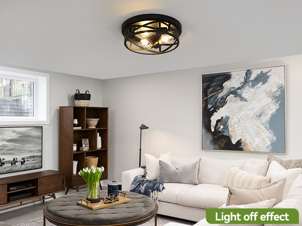 Black Flush Mount Ceiling Light Fixtures