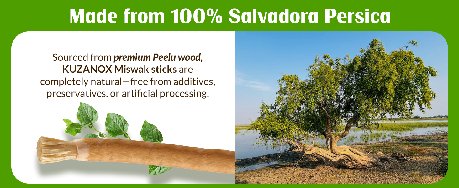 Miswak Sticks Teeth Natural Miswak Toothbrush Sticks Organic Salvadora Persica Sewak Miswak Sticks