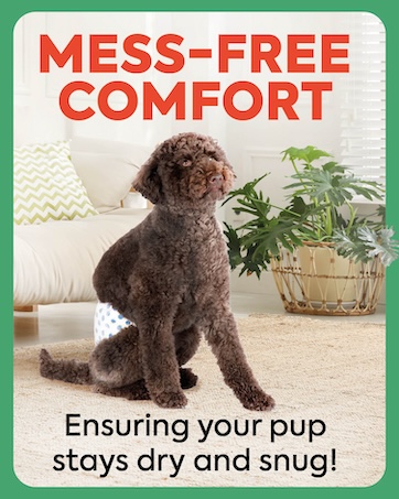 Out Petcare stain &amp;amp; odor products, dog diapers, training sprays, dog pads, dog wraps, cat cleaning