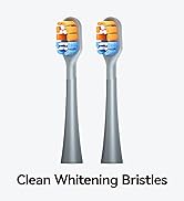 Clean Whitening Bristles