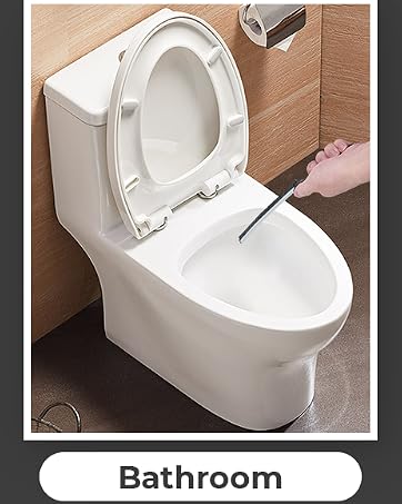 toilet cleaning