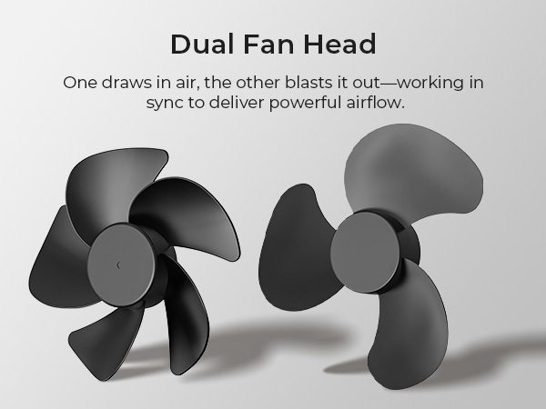 Dual Power, Stronger Wind