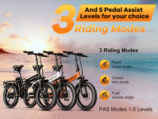 ebike,ebike for adults,electric bike,electric bike for adults