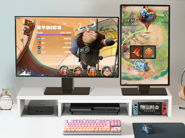 Monitor Stand for 2 Monitors