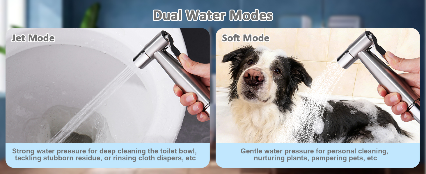 Toilet Bidet Spray with Filter