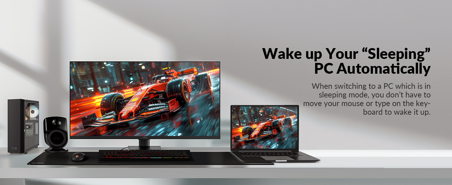 kvm switch for 2 laptops