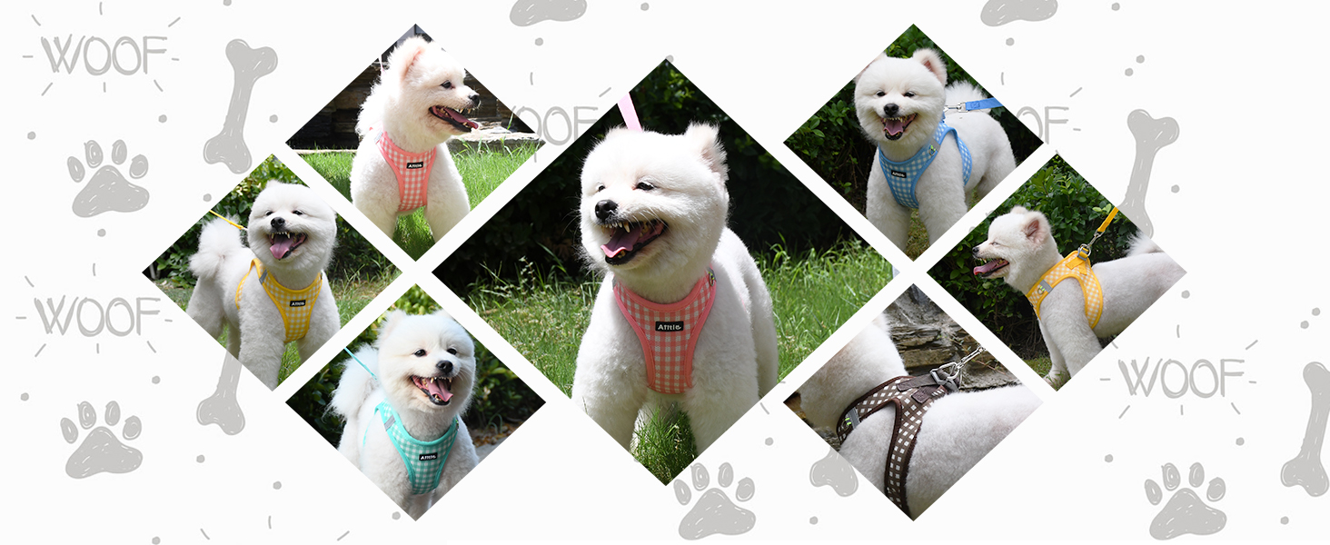 AIITLE Step-in Dog Vest Harness and Leash Set - Summer Mesh Plaid Vest Harness