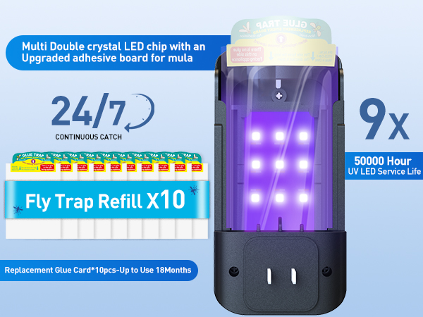 gnat traps for house indoor