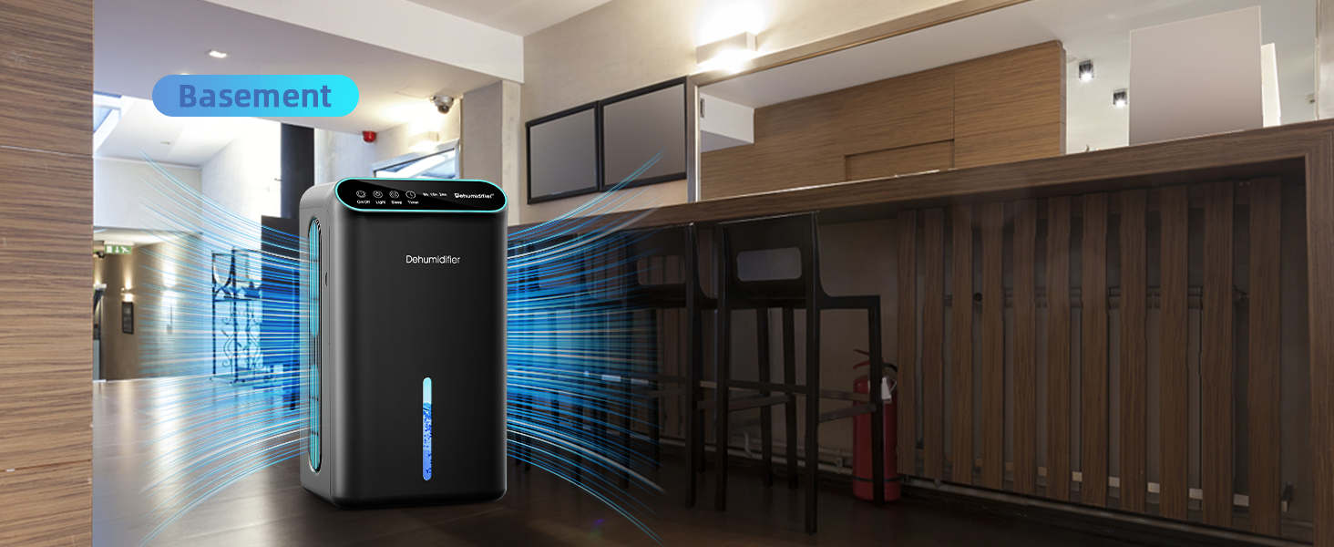 dehumidifier for basement