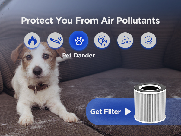 air cleaners for home pets