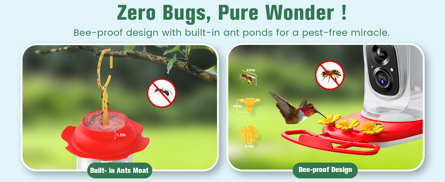 smart hummingbird feeder with camera