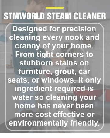 steam cleaner