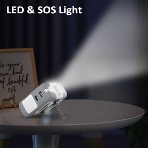LED fan