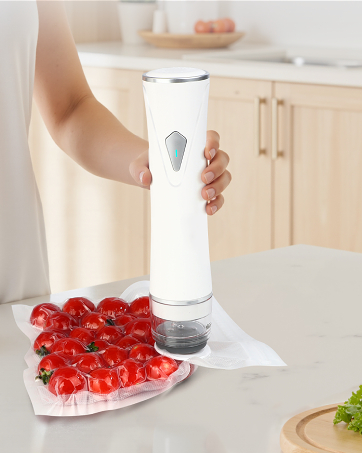 vacuum sealer for food