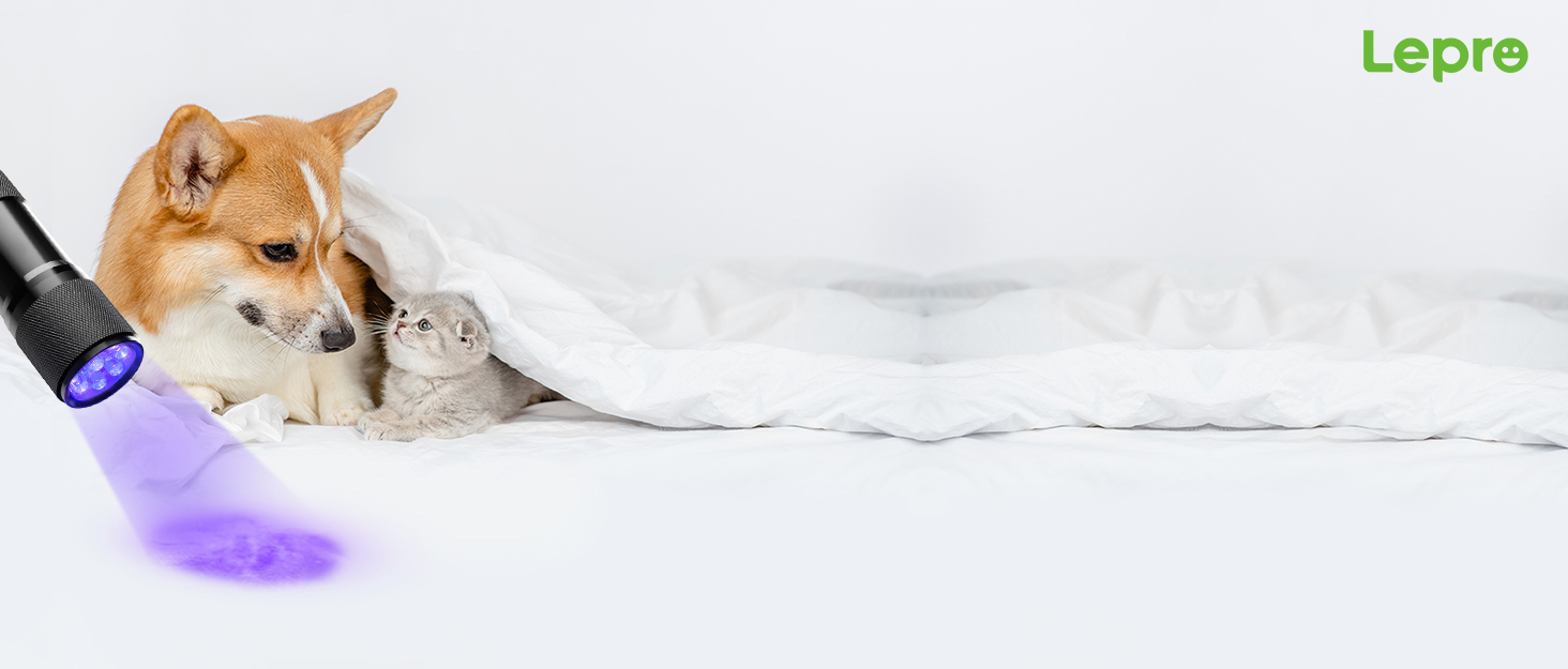 1100 brand story background image