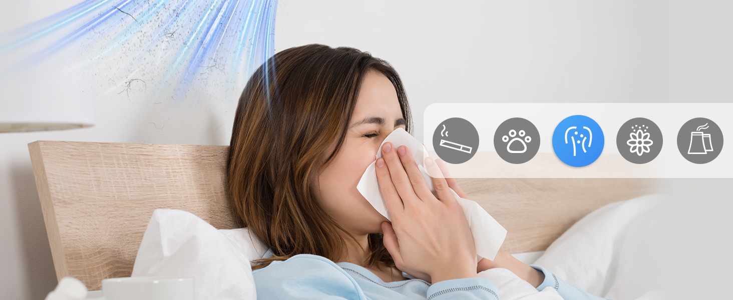 allergen air purifiers for home hepa