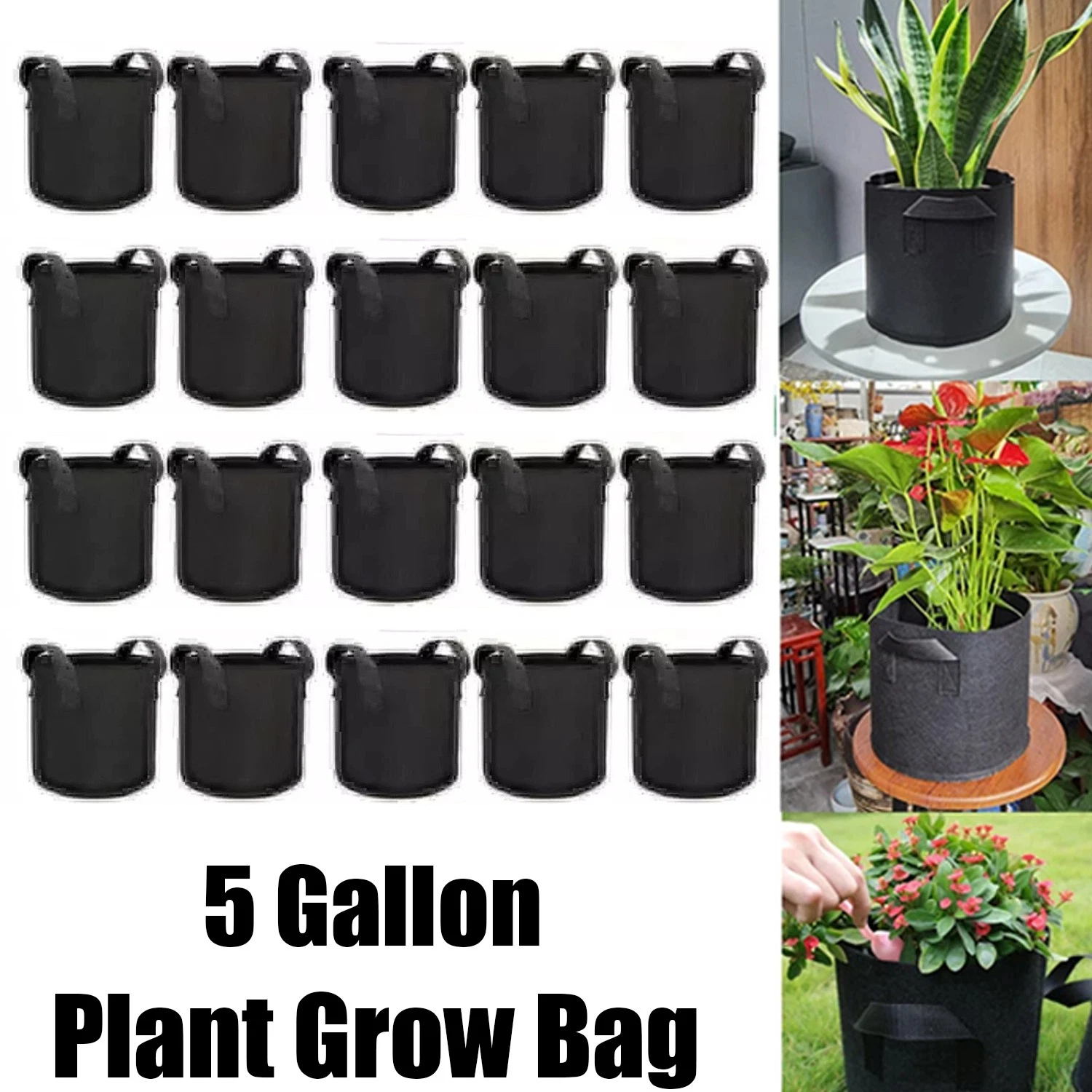 https://i.ebayimg.com/images/g/kG4AAeSwo-RpiUPT/s-l1600.webp