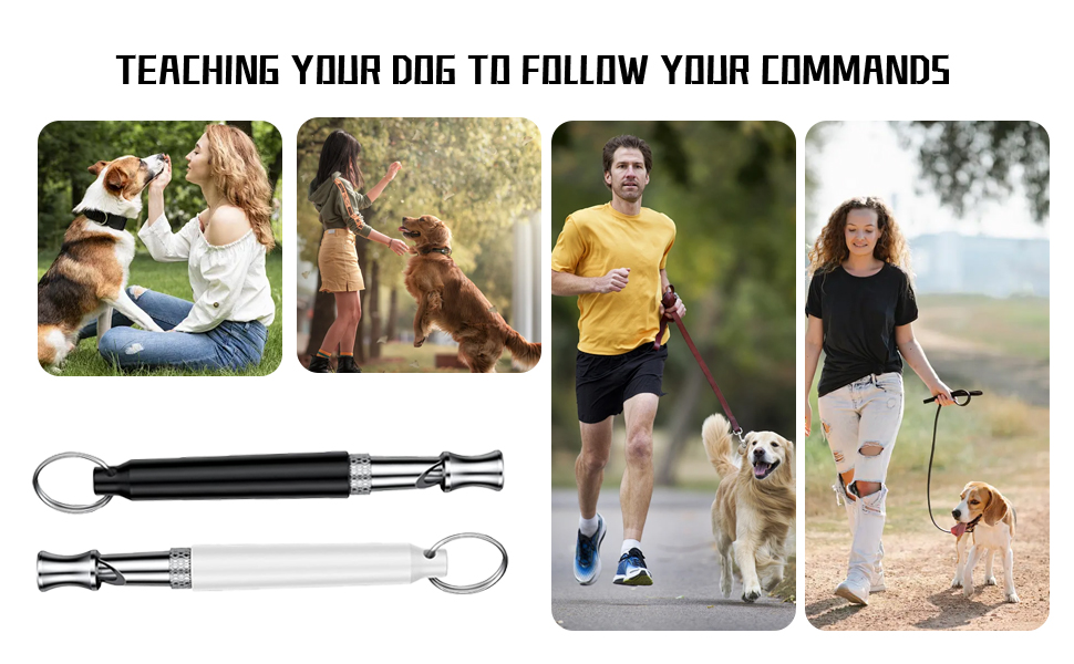 Dog whistle