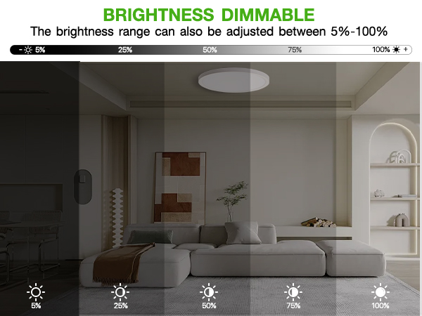 ceiling light fixture