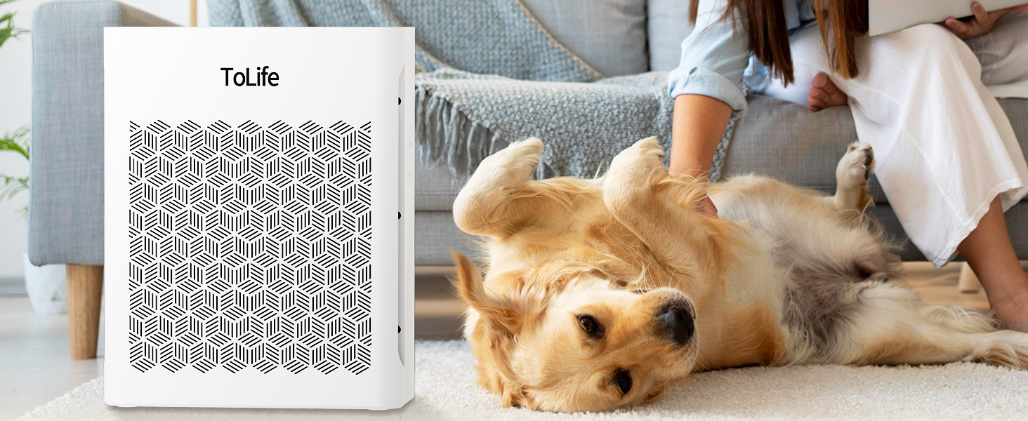 air purifiers for home