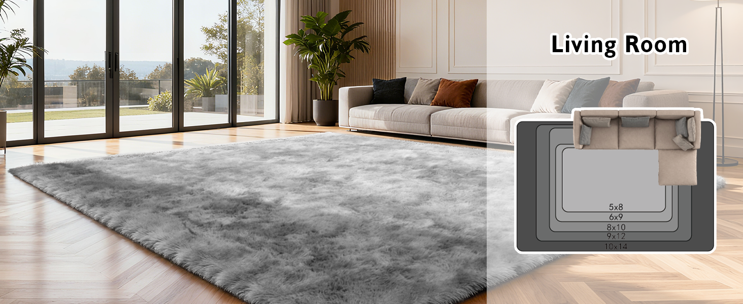 shag area rug for living room