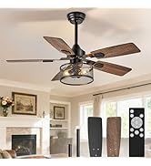 Depuley 42-Inch Ceiling Fans with Lights: Caged Ceiling Fans Dual Finish 5 Blades - Farmhouse Cei...